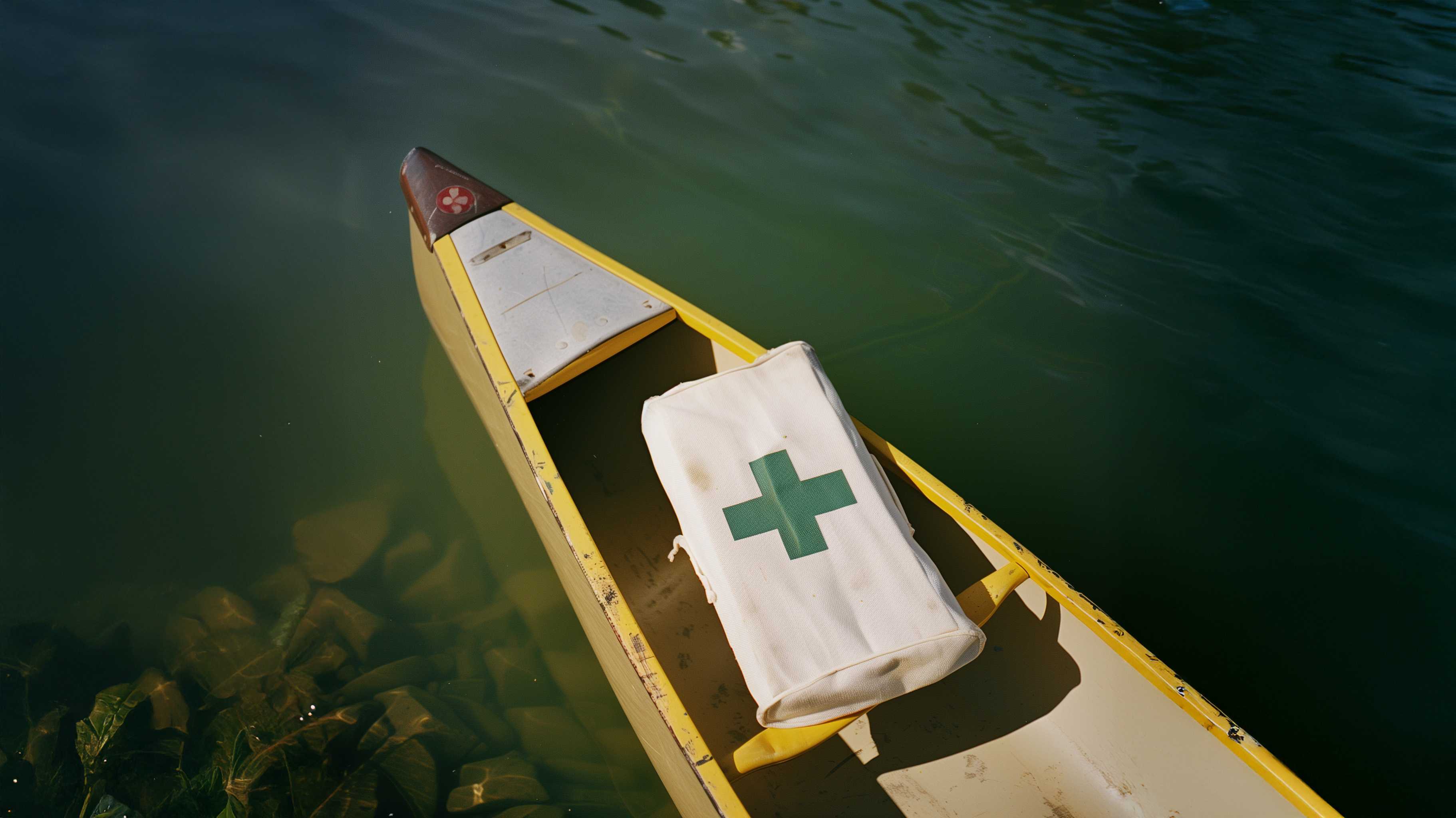 ORGANIC COPPER CLEANER